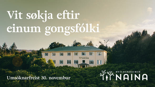 Starvslýsing Naina 1